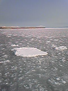 DVC00021.jpg