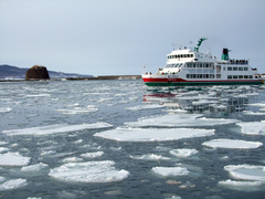 DSCF2388m.jpg