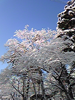 DVC00010.jpg