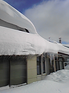 DVC00005.jpg