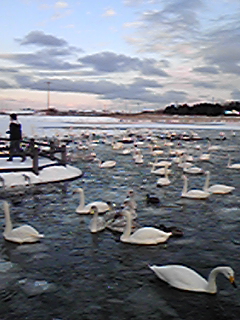 DVC00017.jpg