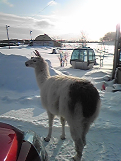 DVC00014.jpg