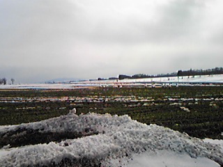 DVC00055.jpg