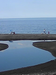 DVC00141.jpg