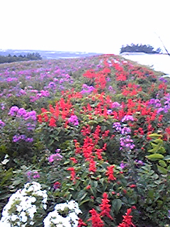 DVC00157.jpg