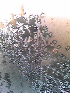 DVC00227.jpg