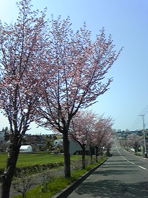 DVC00015.jpg