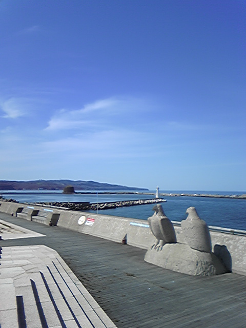 DVC00008.jpg