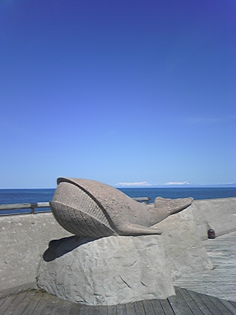 DVC00004.jpg