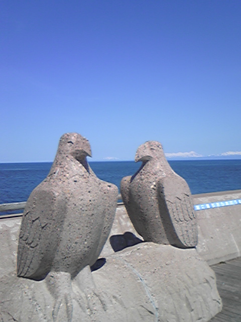 DVC00005.jpg