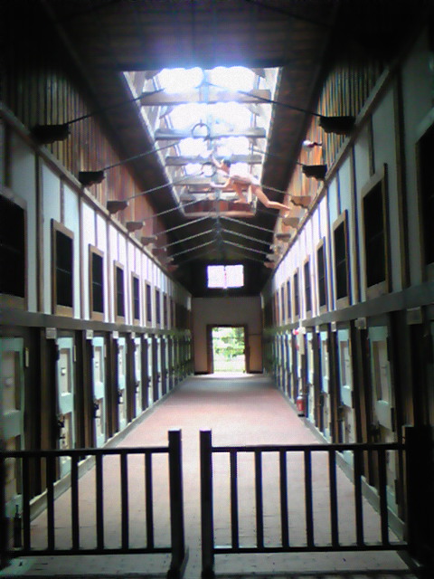 DVC00009.jpg