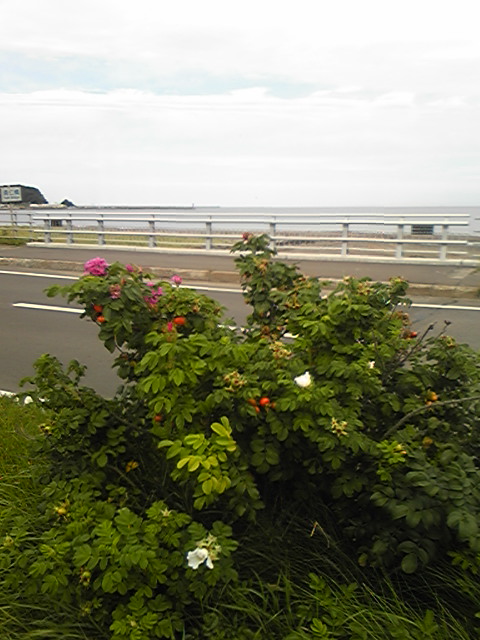 DVC00018.jpg