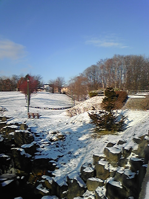 DVC00045.jpg