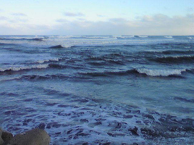 DVC00047.jpg