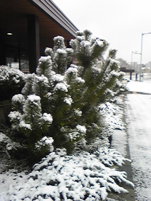 DVC00052.jpg