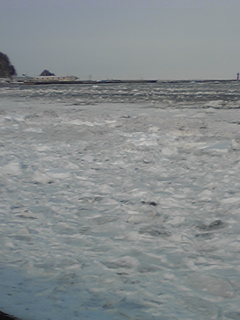 DVC00065.jpg