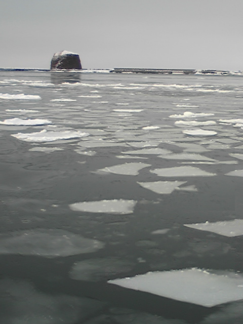 DVC00093.jpg