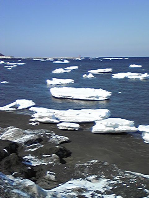 DVC00103.jpg