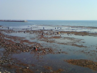 DVC00112.jpg