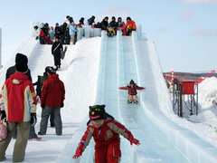suberidai2483m.jpg